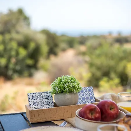 Villa Emarmene Agrotouristic In Rhodes Nature