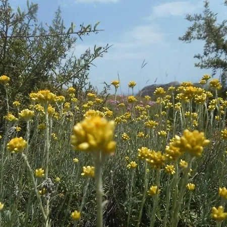 Emarmene Agrotouristic In Rhodes Nature Villa *